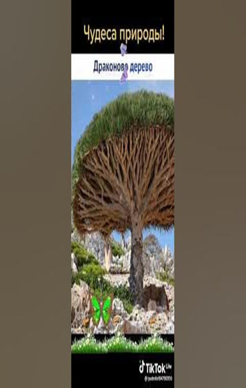 Asarlardan_parcha
